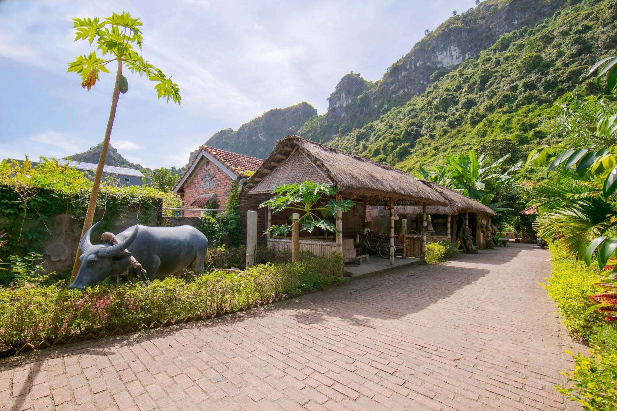 Viet Hai Lan Homestay Trung Trang المظهر الخارجي الصورة