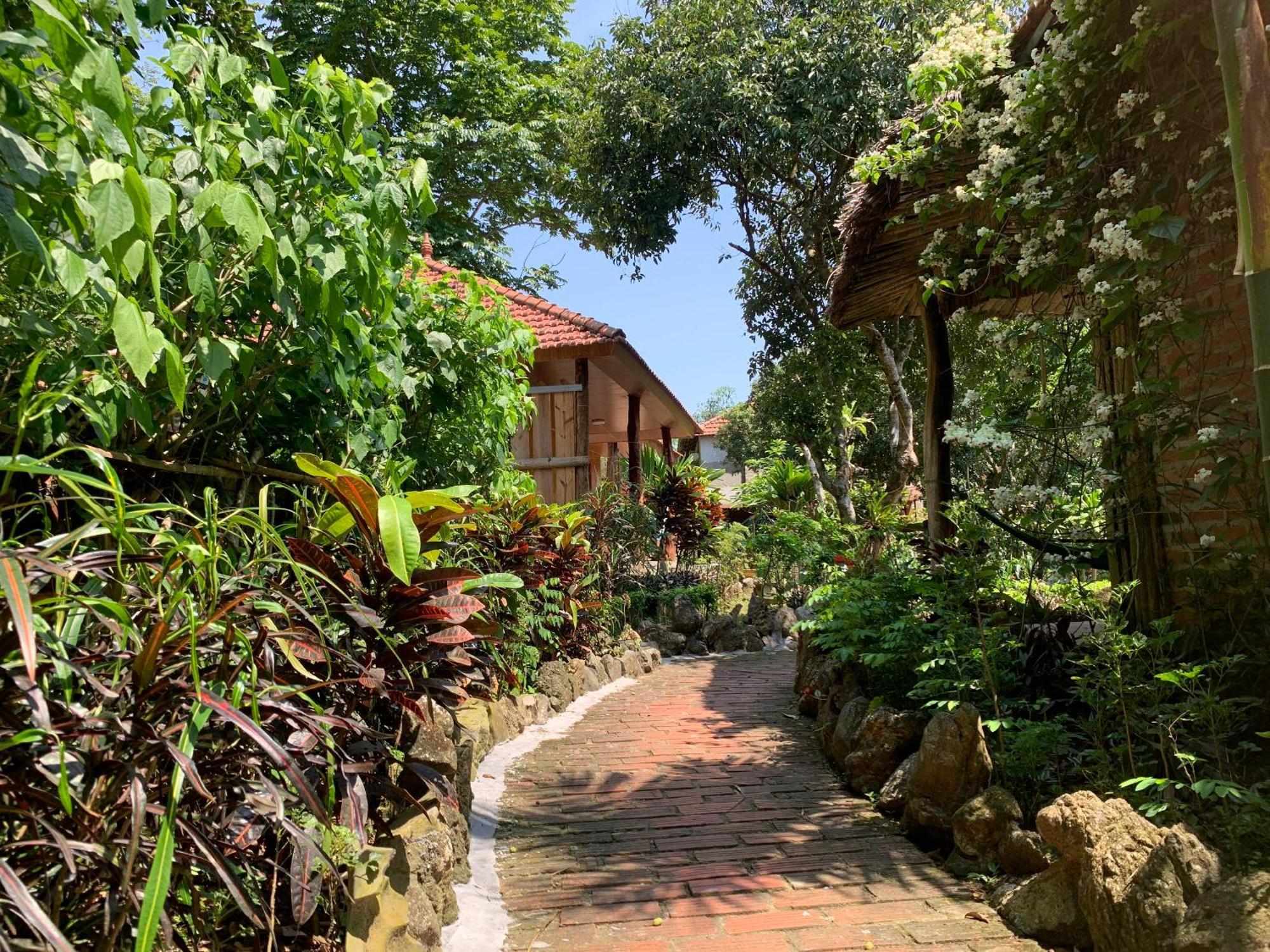 Viet Hai Lan Homestay Trung Trang المظهر الخارجي الصورة
